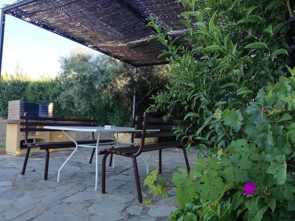 אל גסטור Casa Rural Recreo מראה חיצוני תמונה